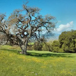 Coyote Lake Harvey Bear Ranch County Park - Gilroy