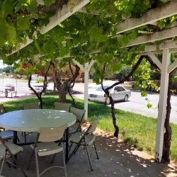 Hecker Pass Winery - Gilroy