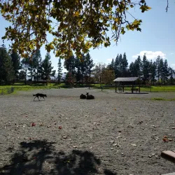 Las Animas Park - Gilroy