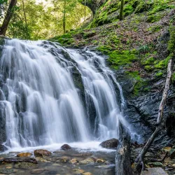 Uvas Canyon County Park - Gilroy