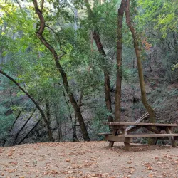 Uvas Canyon County Park - Gilroy