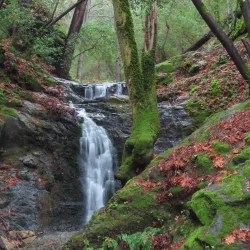 Uvas Canyon County Park - Gilroy
