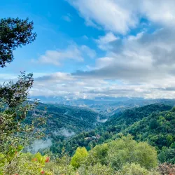 Uvas Canyon County Park - Gilroy