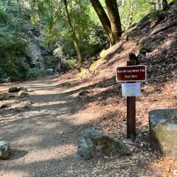 Uvas Canyon County Park - Gilroy