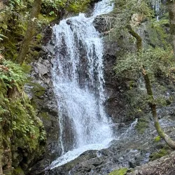 Uvas Canyon County Park - Gilroy