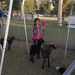 Civic Center Park - Glendora