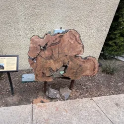 Glendora Historical Society Museum - Glendora