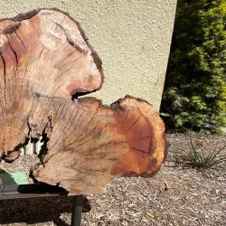 Glendora Historical Society Museum - Glendora