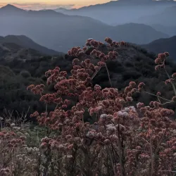 Glendora Mountain Road - Glendora
