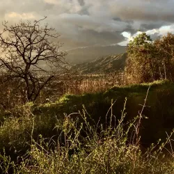 South Hills Wilderness Area - Glendora