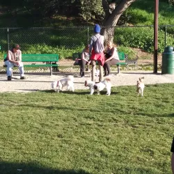 South Hills Wilderness Area - Glendora