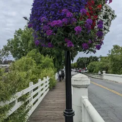 Downtown Half Moon Bay - Half Moon Bay