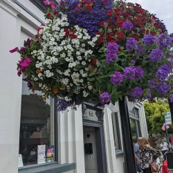 Downtown Half Moon Bay - Half Moon Bay