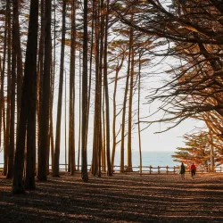 Fitzgerald Marine Reserve - Half Moon Bay