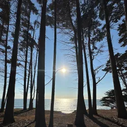 Fitzgerald Marine Reserve - Half Moon Bay
