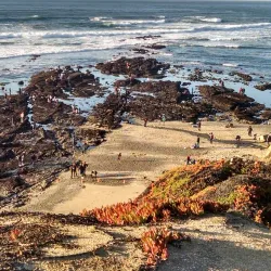 Fitzgerald Marine Reserve - Half Moon Bay