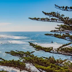 Fitzgerald Marine Reserve - Half Moon Bay