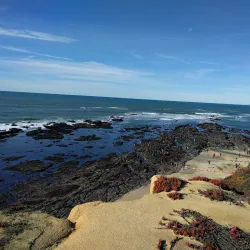 Fitzgerald Marine Reserve - Half Moon Bay