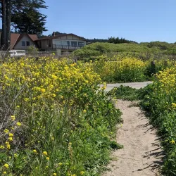 Half Moon Bay Coastside Trail - Half Moon Bay