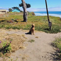 Half Moon Bay Coastside Trail - Half Moon Bay