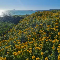 Half Moon Bay State Beach - Half Moon Bay