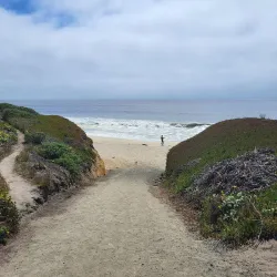 Half Moon Bay State Beach - Half Moon Bay