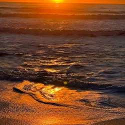 Half Moon Bay State Beach - Half Moon Bay