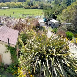 Harley Farms Goat Dairy - Half Moon Bay