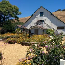 Harley Farms Goat Dairy - Half Moon Bay