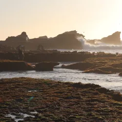 Mavericks Beach - Half Moon Bay