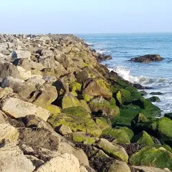 Mavericks Beach - Half Moon Bay