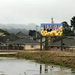 Pumpkin Patches and Farms - Half Moon Bay