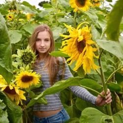 Pumpkin Patches and Farms - Half Moon Bay