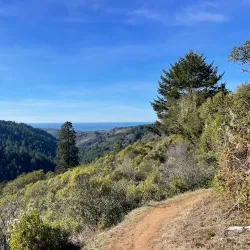 Purisima Creek Redwoods Open Space Preserve - Half Moon Bay