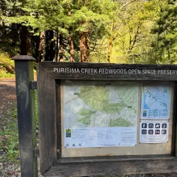 Purisima Creek Redwoods Open Space Preserve - Half Moon Bay