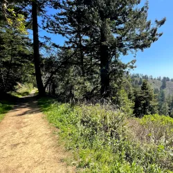 Purisima Creek Redwoods Open Space Preserve - Half Moon Bay