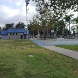 Hawthorne Skate Park - Hawthorne