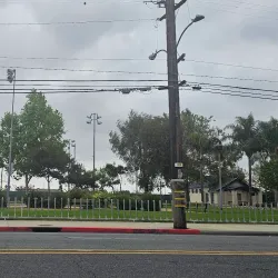 Hawthorne Skate Park - Hawthorne