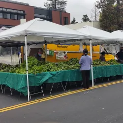 Hayward Farmer's Market - Hayward