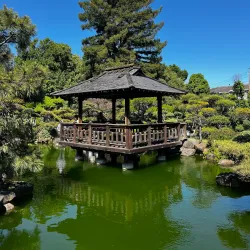 Hayward Japanese Gardens - Hayward