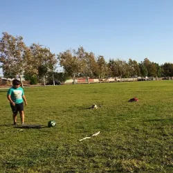 Highland Community Park - Highland