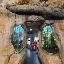 Highland Library - Highland