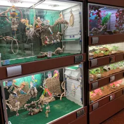 Highland Library - Highland