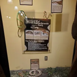 Highland Library - Highland