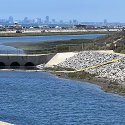 Bolsa Chica Ecological Reserve - Huntington Beach