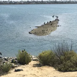 Bolsa Chica Ecological Reserve - Huntington Beach