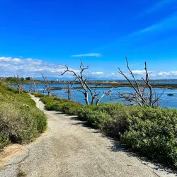 Bolsa Chica Ecological Reserve - Huntington Beach