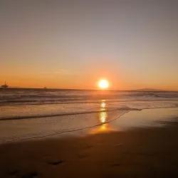 Huntington Dog Beach - Huntington Beach