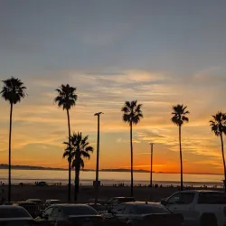 Huntington Dog Beach - Huntington Beach