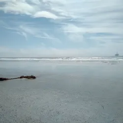 Huntington Dog Beach - Huntington Beach